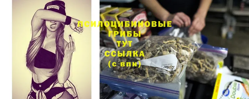 купить закладку  Гулькевичи  мега зеркало  Псилоцибиновые грибы Psilocybe 